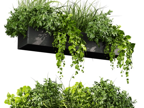  现代植物盆栽3d模型 