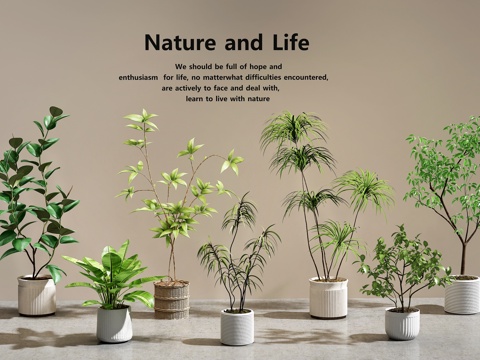  绿植盆栽   盆栽组合3d模型 