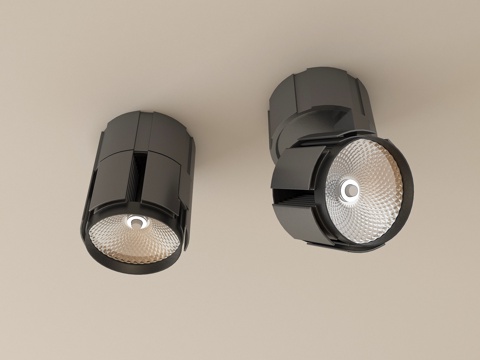  现代筒灯射灯 明装筒灯 转向式3d模型 