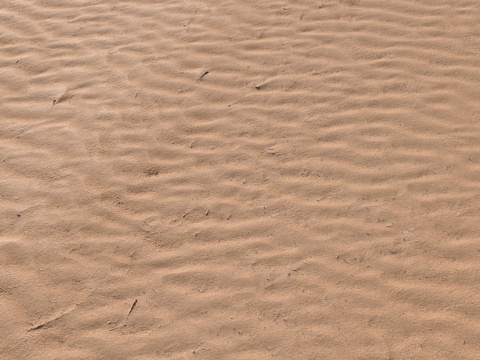  PBR 沙滩 063d模型 