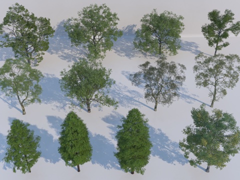  现代树木组合3d模型 