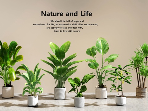  绿植盆栽 盆栽组合3d模型 