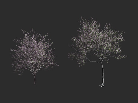  杏仁树 扁桃 巴旦木3d模型3d模型 