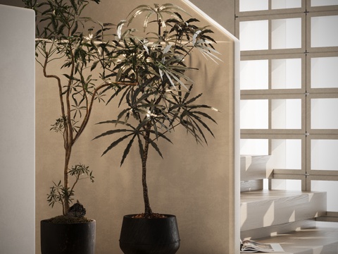  中古风绿植盆栽3d模型 