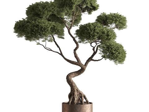  新中式盆景 盆栽3d模型 