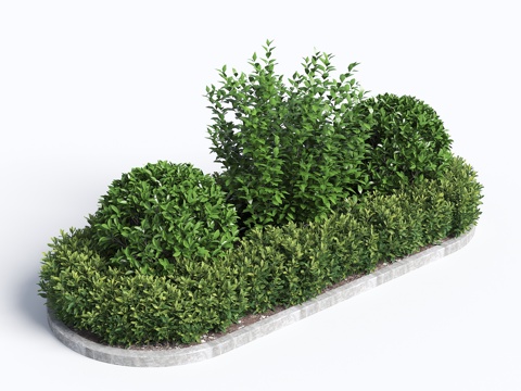  灌木 花坛 组团灌木 绿化带植物 球形植被 球形植物 绿化带3d模型 