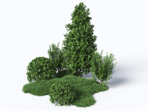  灌木 灌木丛 组团灌木 绿化带植物 球形植被 球形植物 绿化3d模型 
