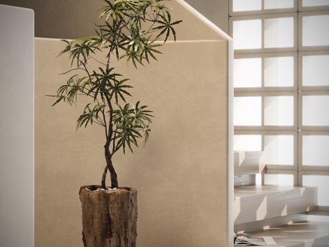  中古风绿植盆栽3d模型 