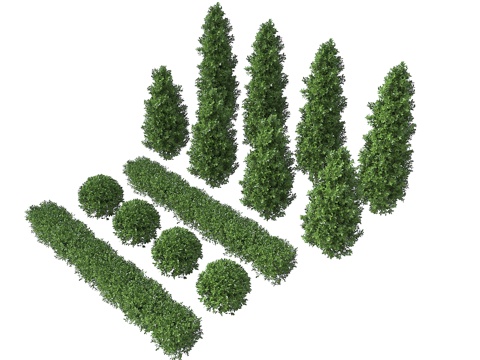  灌木 灌木丛 整形灌木 球形植被 球形植物 绿篱绿化带 植物3d模型 