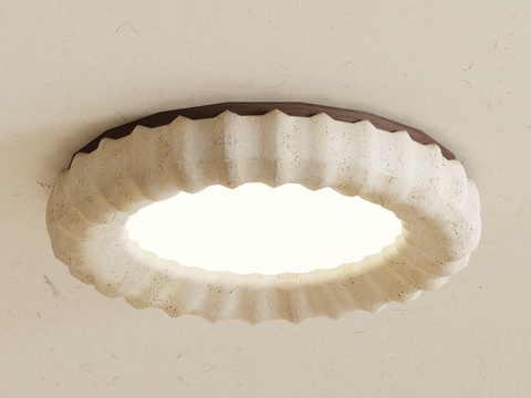  侘寂中古吸顶灯3d模型 