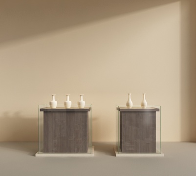  现代文物展示柜 展台 陈列柜 陈列台 置物柜 装饰柜su模型 