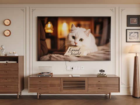  现代中古电视柜3d模型 