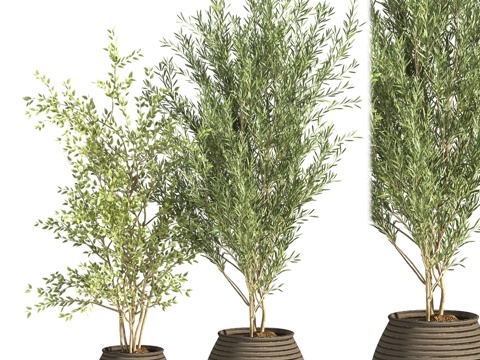  室内植物架013d模型3d模型 