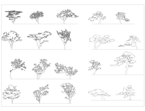 造型树CAD立面图库cad施工图
