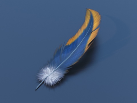  羽毛 工艺摆件 艺术品3d模型 