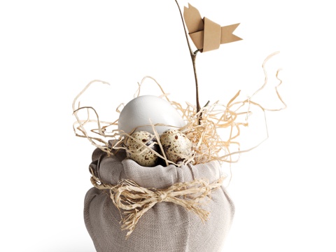  装饰套装V001鸟巢3d模型 