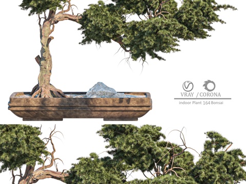  室内盆栽164号盆景3d模型 