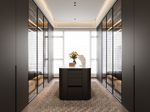  现代意式衣帽间 深色3d模型 