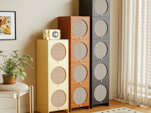  储物柜 边柜 置物柜 高柜3d模型 