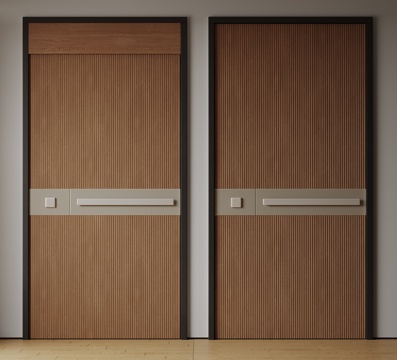  现代极简单开门 中古防盗门 通顶入户门 子母门 密码门 别墅3d模型 