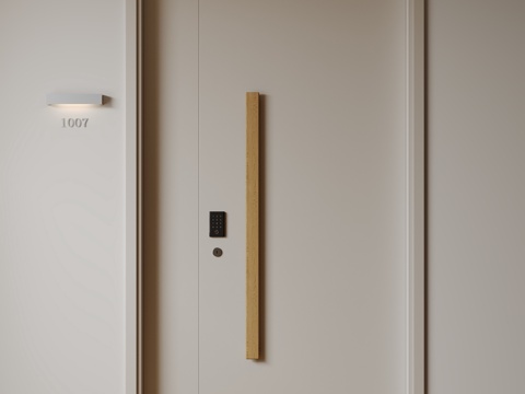  现代极简单开门 中古防盗门 通顶入户门 子母门 密码门 别墅3d模型 