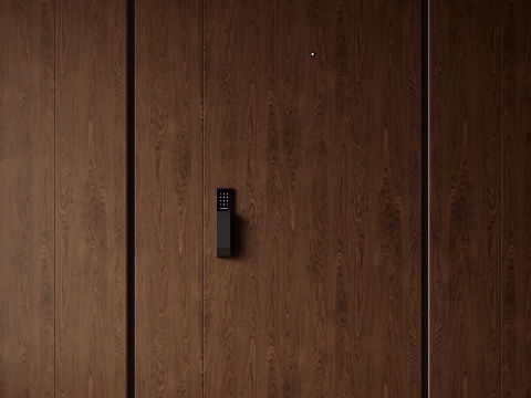  现代极简单开门 中古防盗门 通顶入户门 子母门 密码门 别墅3d模型 