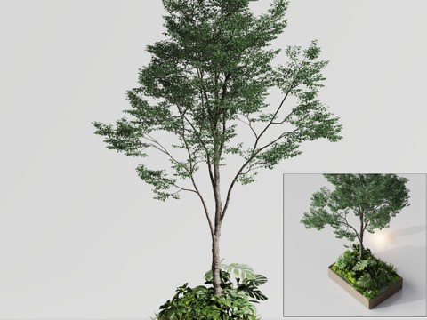  花箱植物树景观3d模型 
