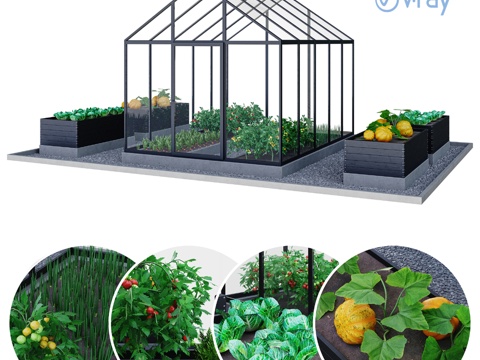  温室。厨房菜园 温室。厨房菜园温室3d模型 