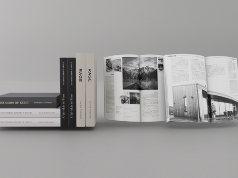  书籍摆件su模型 