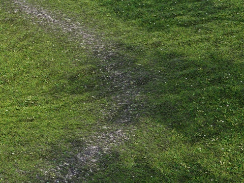  草地小径3d模型 