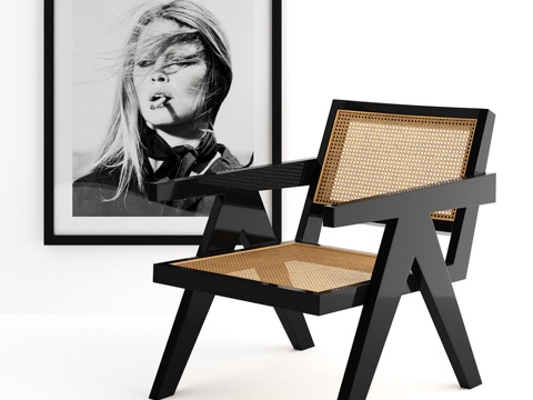  Eichholtz Adagio 椅，碧姬·芭铎印花款3d模型 