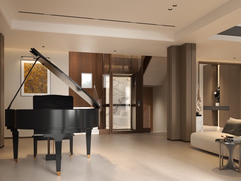  现代意式会客厅 现代门厅电梯厅 家用电梯别墅电梯 现代钢琴厅3d模型 
