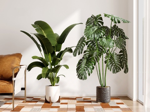  现代绿植盆栽3d模型 