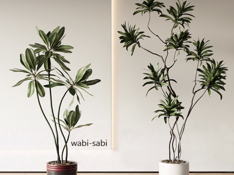  现代绿植盆栽3d模型 