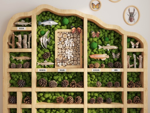 标本教室 幼儿园多功能室 动植物标本 苔藓 昆虫标本 教室3d模型 