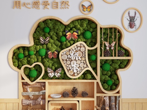  标本教室 幼儿园多功能室 动植物标本 苔藓 昆虫标本 教室3d模型 