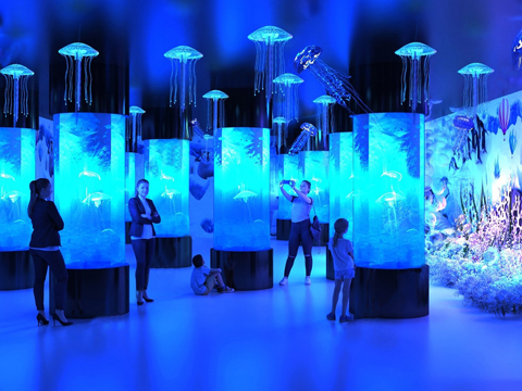  现代海洋博物馆 海洋展览馆 海底世界 海洋生物 水生世界su模型 