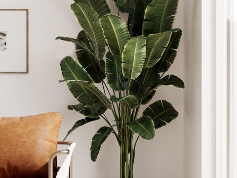  现代绿植盆栽3d模型 