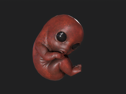  胎儿 婴儿 恶灵 恶魔胎儿 怨婴 恐怖 医院 变异 怨灵3d模型 