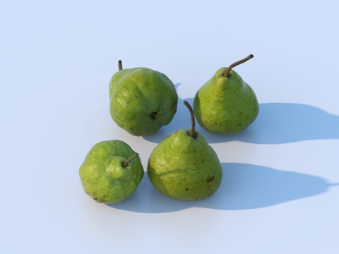  梨 水果 鳄梨 鸭梨 香梨3d模型 