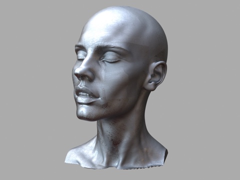  人物雕塑 雕塑作品 女性头部解剖结构 女性头部雕塑 雕像3d模型 