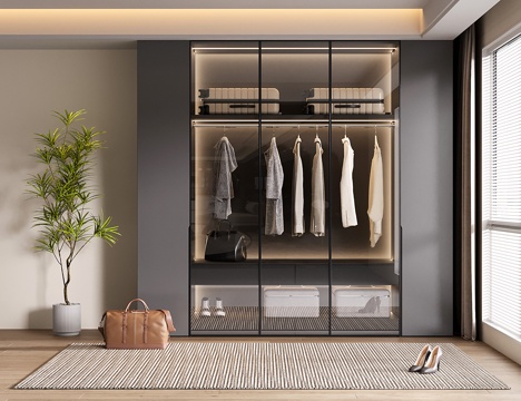  意式衣柜 现代定制衣柜 玻璃衣柜su模型 