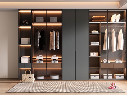 意式现代定制衣柜 玻璃衣柜su模型