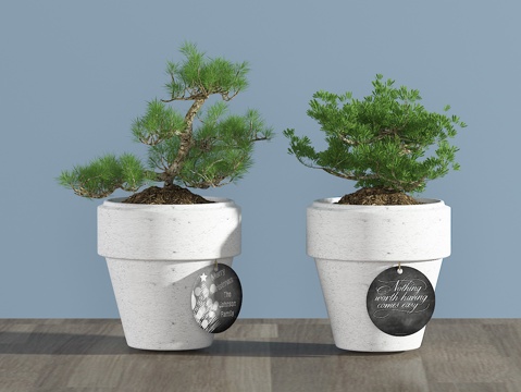  现代植物 盆栽 绿植3d模型 