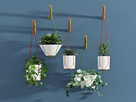  现代植物 盆栽 绿植 绿萝 吊篮3d模型 