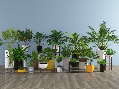  现代盆栽3d模型 