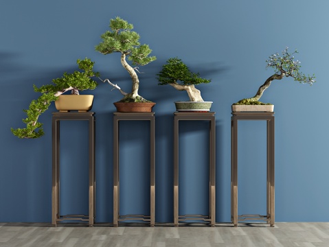  现代植物 盆栽 绿植 花架 松树3d模型 