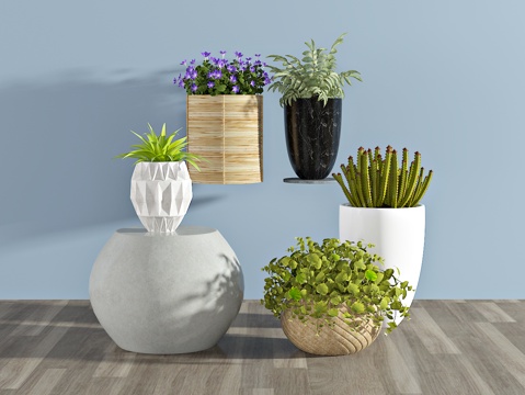  现代盆栽3d模型 