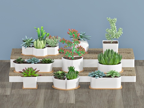  现代盆栽3d模型 