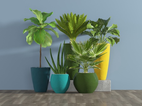  现代盆栽3d模型 